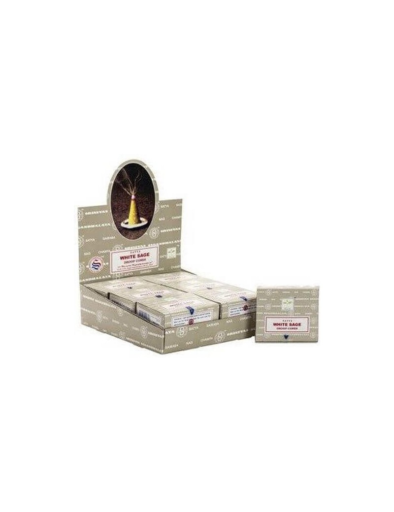 Encens Satya Sauge Blanche 15g cones